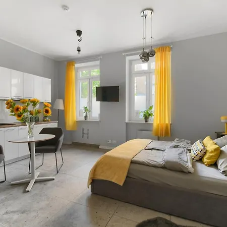 Spacious In The Heart Of 포즈난