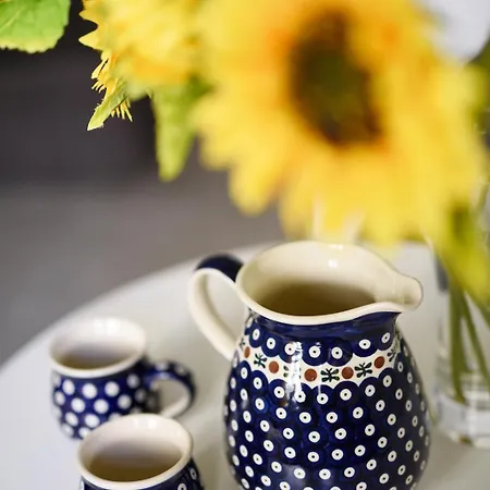 Spacious In The Heart Of Poznań