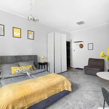 Spacious In The Heart Of Apartament Poznań